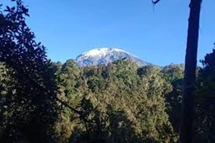 Forest trail view toward the snow-capped summit on a Kilimanjaro climbing tour day hike from Marangu Gate, Tanzania